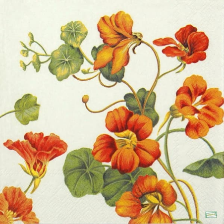 1 serviette Les capucines -2