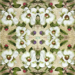 1 serviette Autres fleurs -4