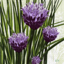 3 serviettes Autres fleurs -8