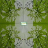 1 serviette Autres fleurs -9