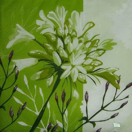 1 serviette Autres fleurs -9