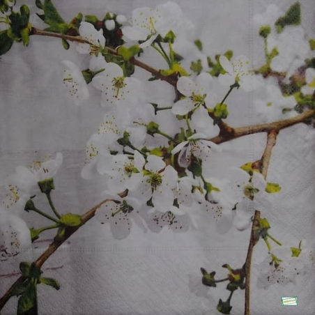 1 serviette Autres Fleurs -12