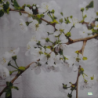 1 serviette Autres Fleurs -12