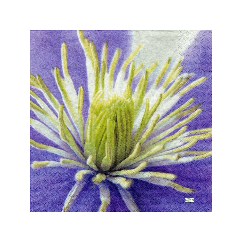 4 serviettes Autres fleurs -23