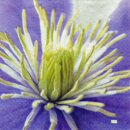 4 serviettes Autres fleurs -23