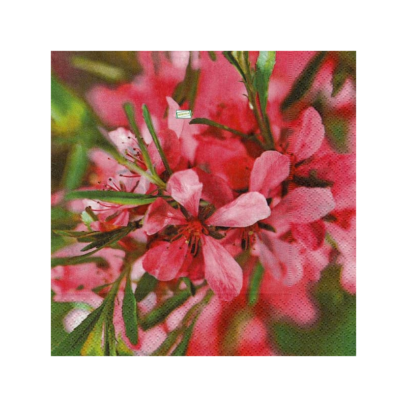 4 serviettes Autres fleurs -24