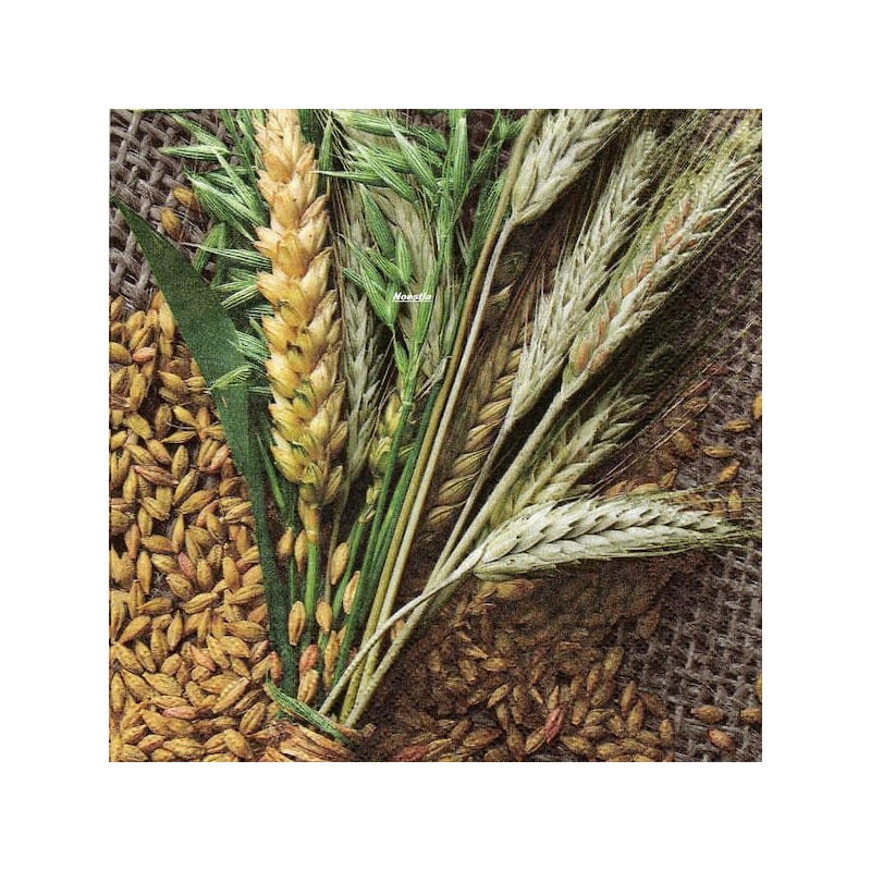 1 serviette Le blé -40