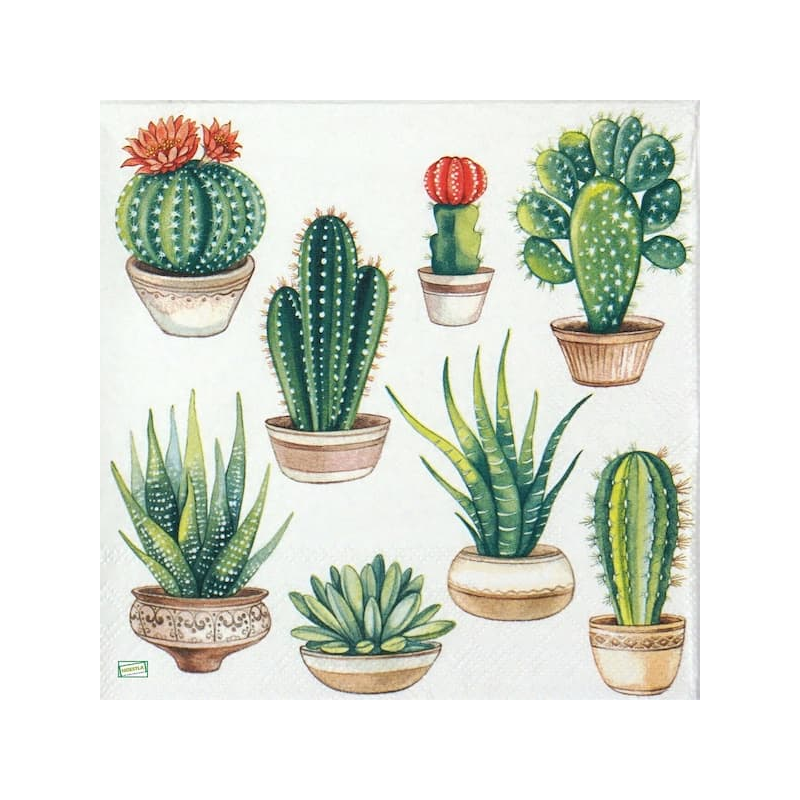 1 serviette Les cactus -47