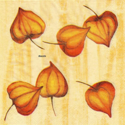 1 serviette Autres fleurs -59