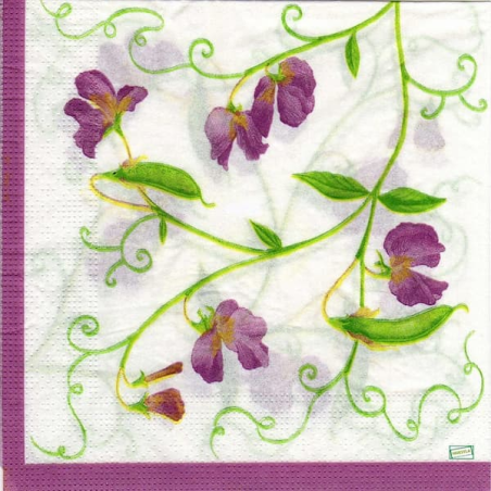 5serviettes Pois de senteur-60