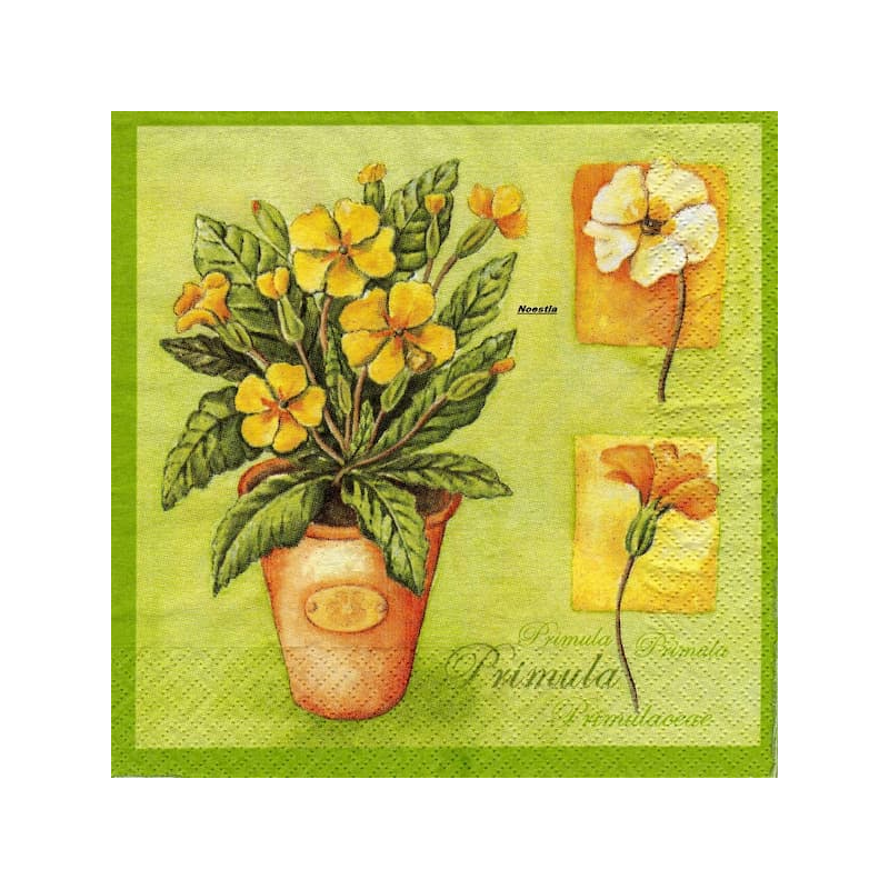 1 serviette Autres fleurs -66