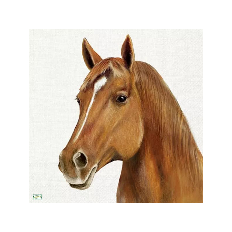 1serviette papier Chevaux-4