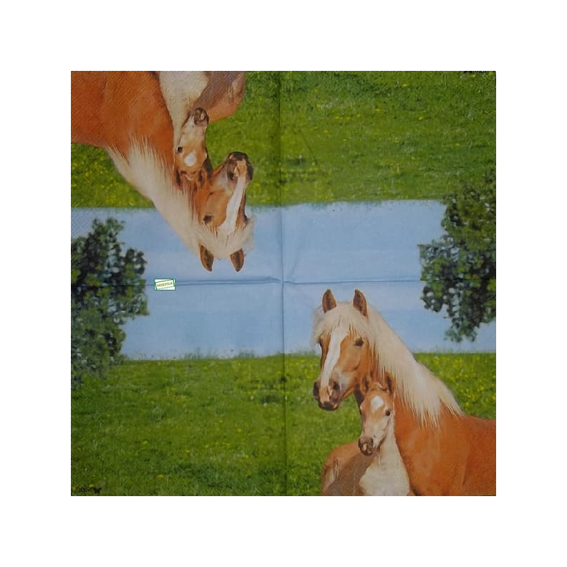 1serviette papier Chevaux-5