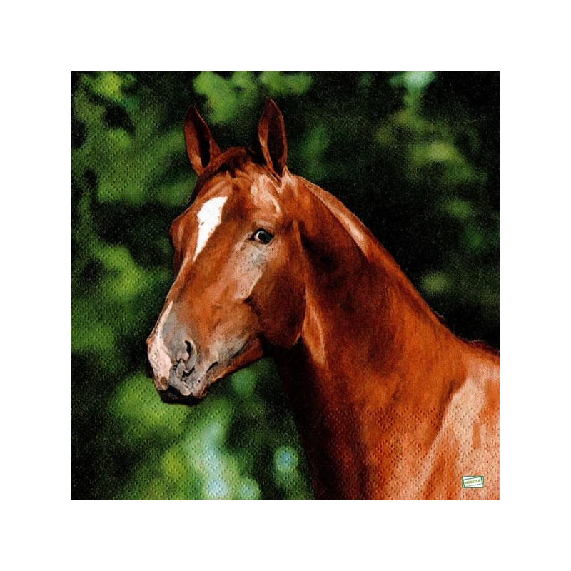 1serviette papier Chevaux-19