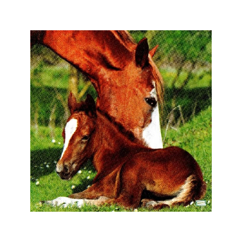 1serviette papier Chevaux-36