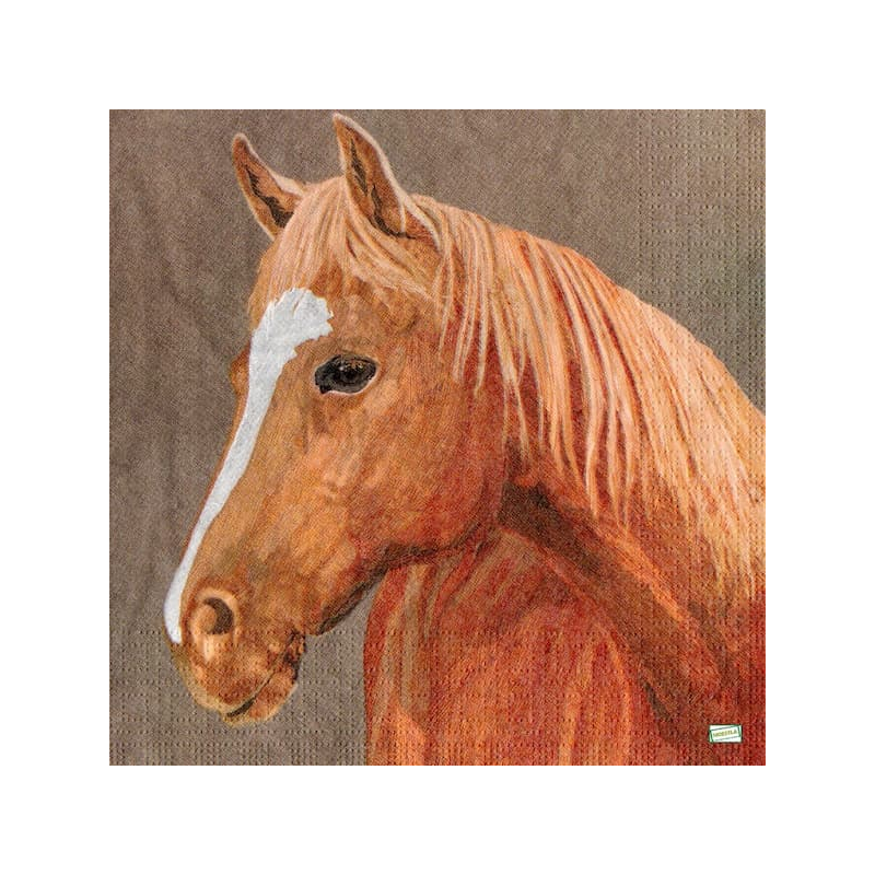 1serviette papier Cheval-41