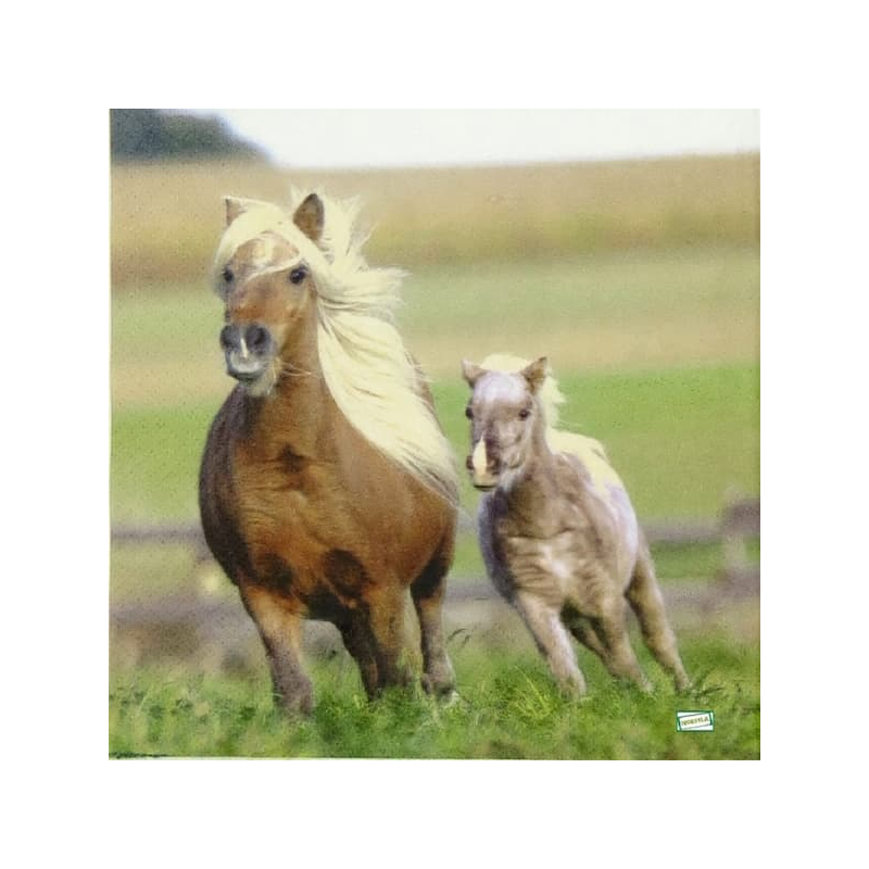 1serviette papier Chevaux-42