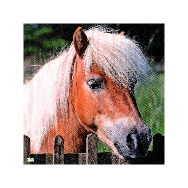1serviette papier Poney-43