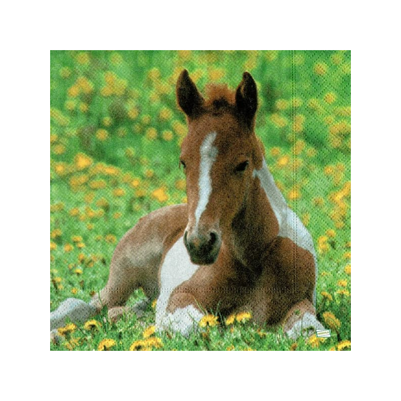 1serviette papier Cheval-46