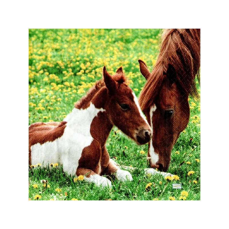 1serviette papier Chevaux-58