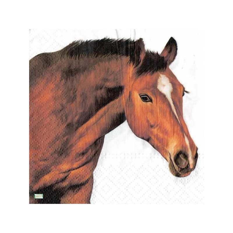 1serviette papier Cheval-60