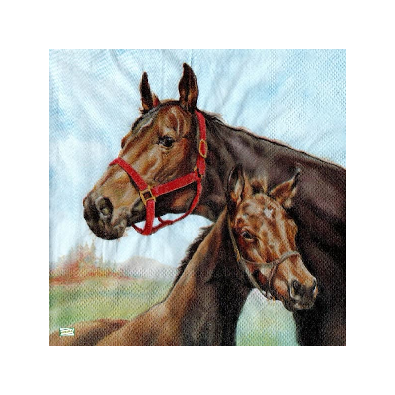 1serviette papier Chevaux-61