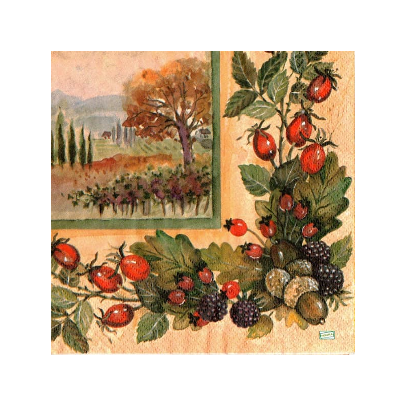 1 serviette papier Nature - 15