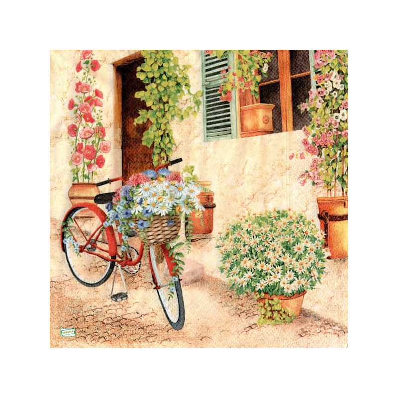 1 serviette papier Nature -19