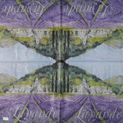 1 serviette papier Nature - 38