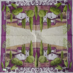 1 serviette papier Nature - 39