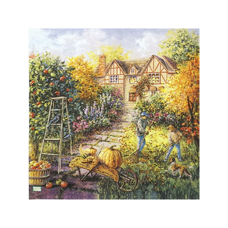 1 serviette papier Nature - 58