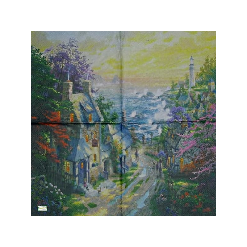 1 serviette papier Nature -30