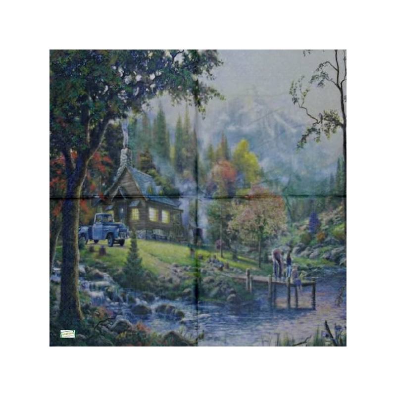 1 serviette papier Nature - 51