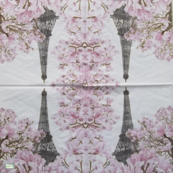 1serviette paier Paris-70