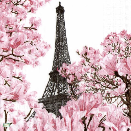 1serviette paier Paris-70