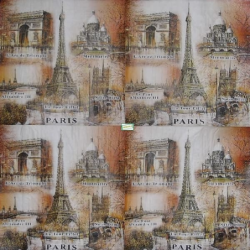 1serviette papier Paris-73