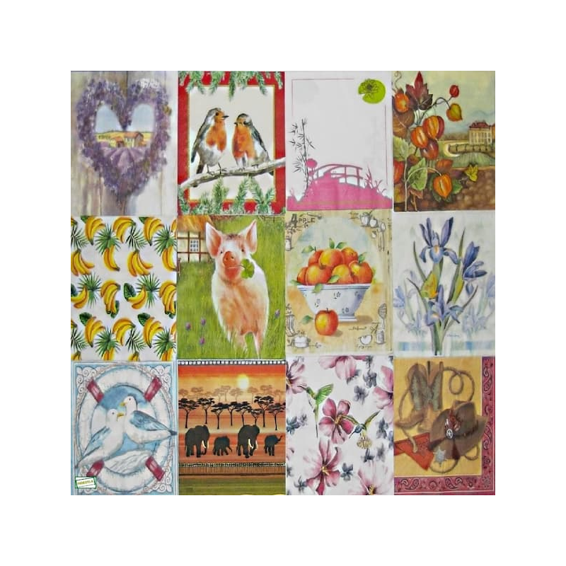 12 serviettes Divers -L25