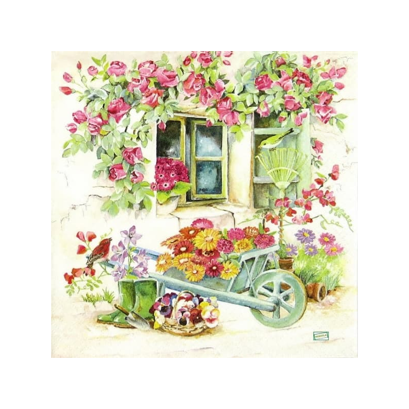 20 serviettes Nature -L50