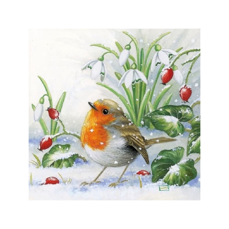 1serviette papier Oiseaux-1