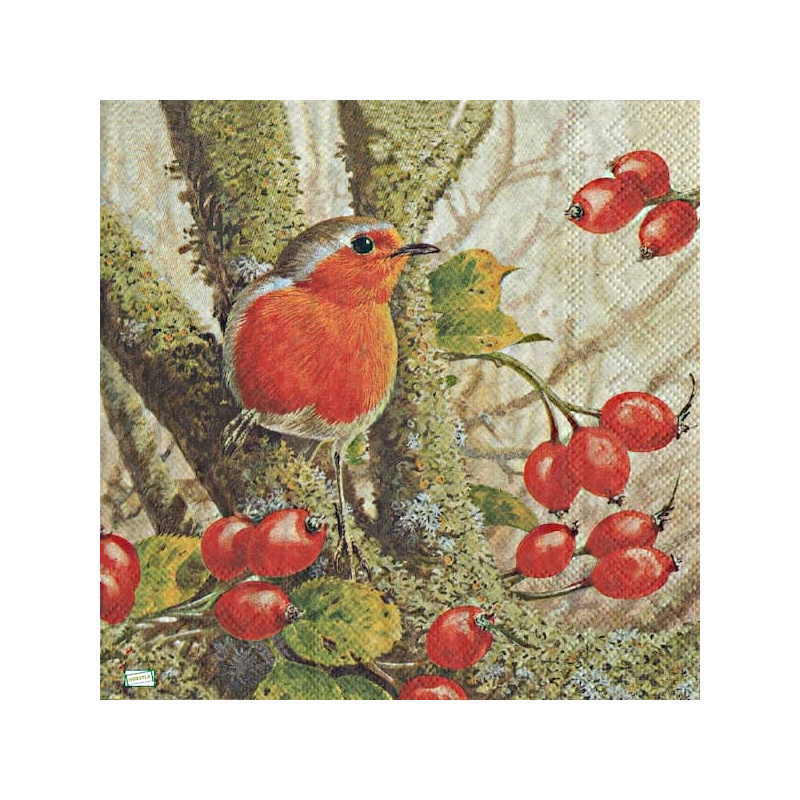 1 serviette Le rouge gorge-2