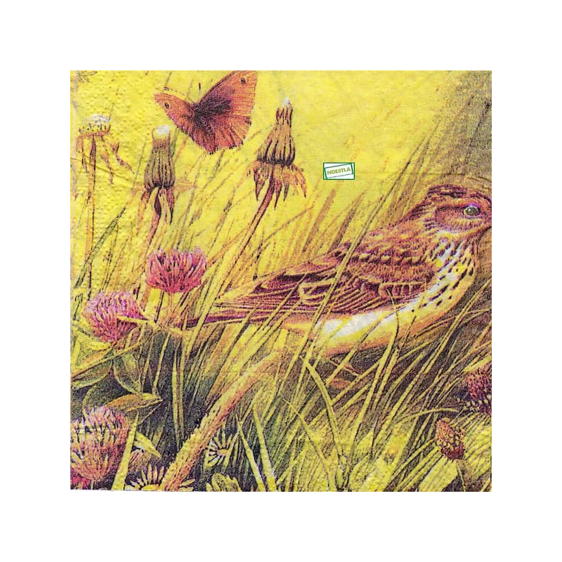 6serviettes papier Oiseaux-25