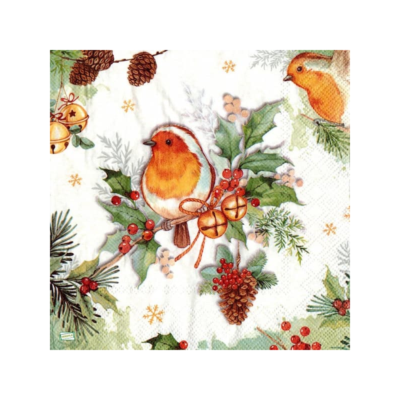 1serviette papier Oiseaux-26