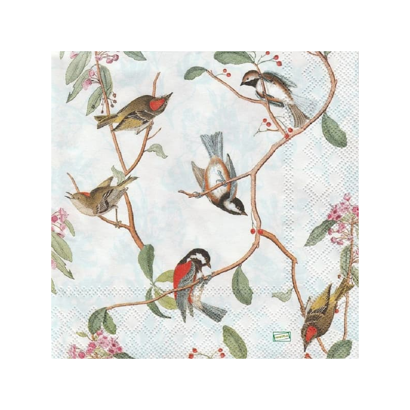 1serviette papier Oiseaux-31