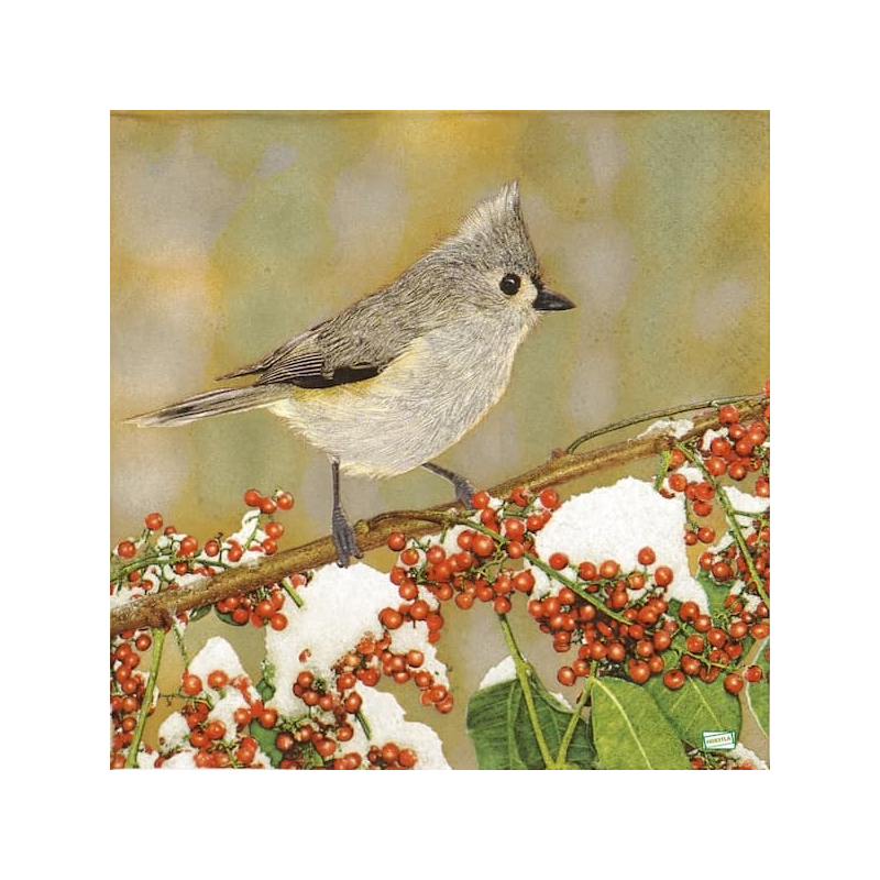 1serviette papier Moineau-33