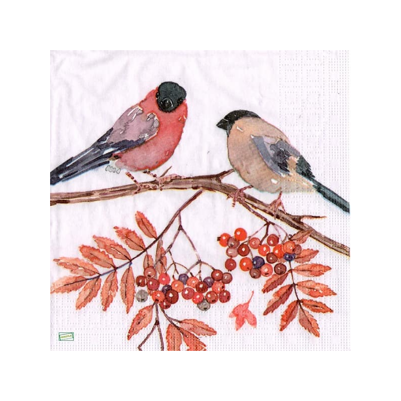 1serviette papier Oiseaux-34