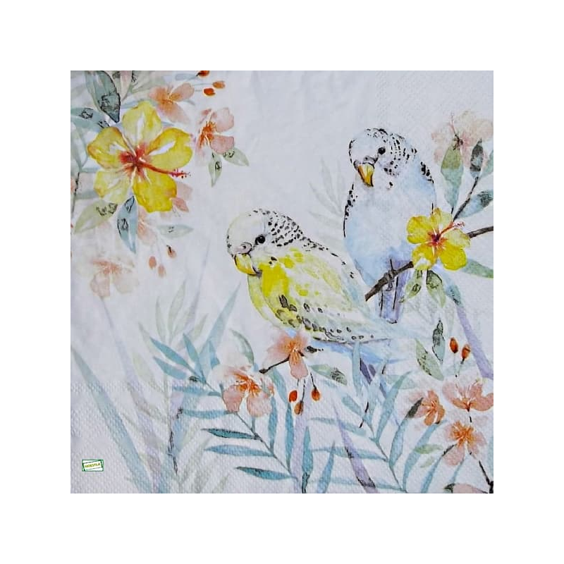 1 serviette Les perruches -37