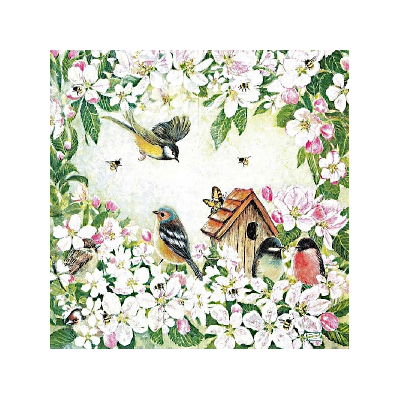 1 serviette Les oiseaux -54