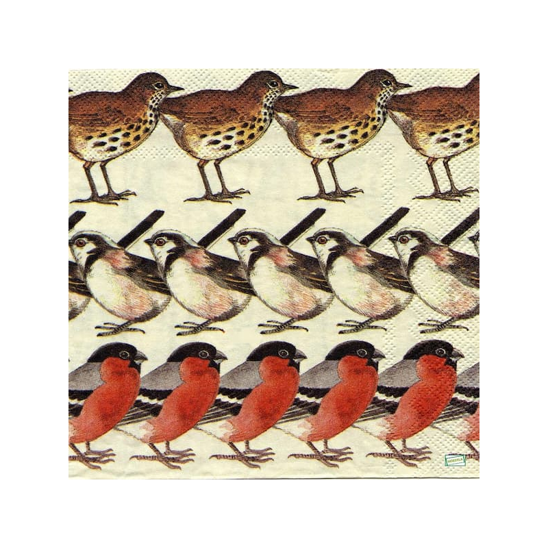 1serviette papier Oiseaux-58