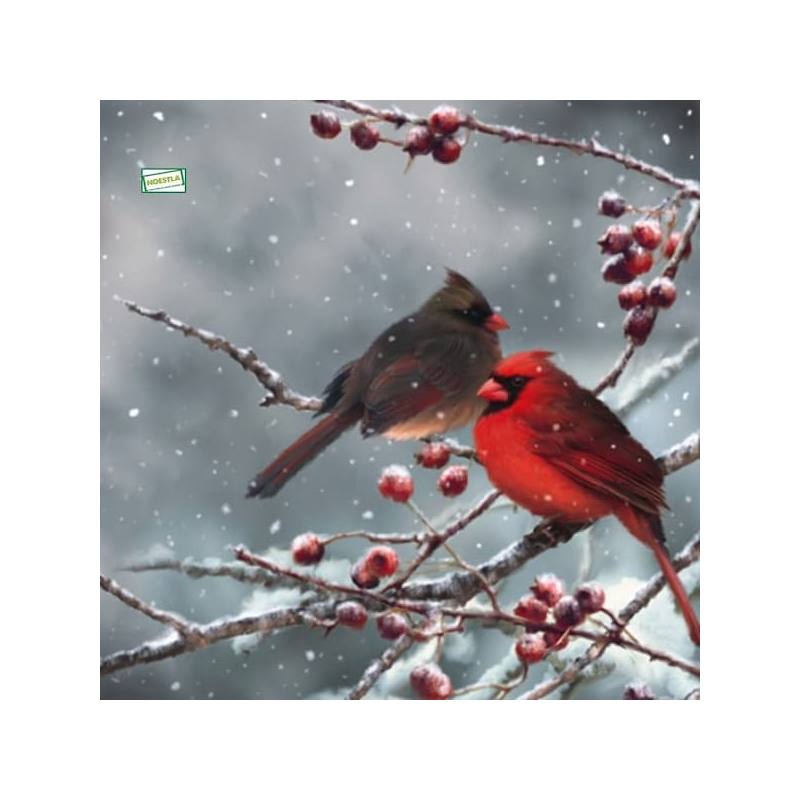 1serviette papier Oiseaux-61