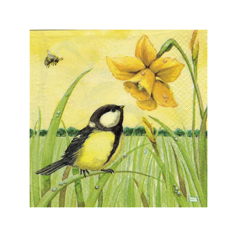 1serviette papier Moineau-62